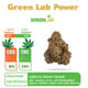 Green Lab Power