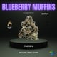 Blueberry MF THC 21%