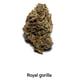 Royal gorilla