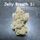 Jelly breath s1