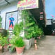 Cannabis Superman, Wizard's Kitchen Branch, Wild Food, Nakhon Sawan