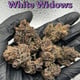 White widows