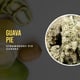 Guava Pie