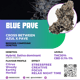 Blue pave (compound genetics)