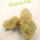 Guava ijs