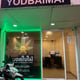 Yodbaimai 2 - ยอดใบไม้ (Exotic Wholesale Cannabis Weed กัญชา)