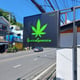 Green Garden Kata | Cannabis Dispensary Weed Shop