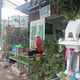 SKP Cannabis 2 - Weed Dispensary Chiang Mai