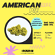Американский пирог (Зеленый дом)