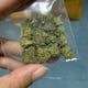 Weedme Cannabis Delivery
