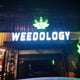 Weedology Cannabis Culture Bang Khae ร้านกัญชา บางแค