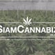 Siam Cannabiz Co., Ltd.