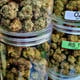 Munchies Cannabis Store & Lamai Beach Delivery