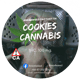 Hybrid Cookies 🍪 100 mg 