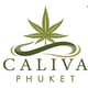 Caliva Phuket Premium cannabis shop