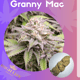 Бабушка Мак
