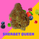 シャーベットの女王