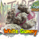 White Gummy