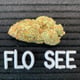 Flo-See