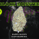 Block monster 