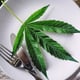 cannabis pour la santé