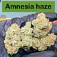Amnesia haze