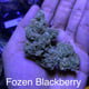 Fozen blackberry