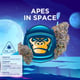 Apes In Space