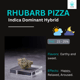 Rhubarb pizza