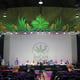 Cannabis Stadhuis