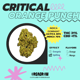 Kritische oranje punch