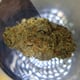 Magasin de cannabis 420branche highandchic 2 Magasin de cannabis