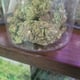 Greenbird House Cannabis โดย Ble