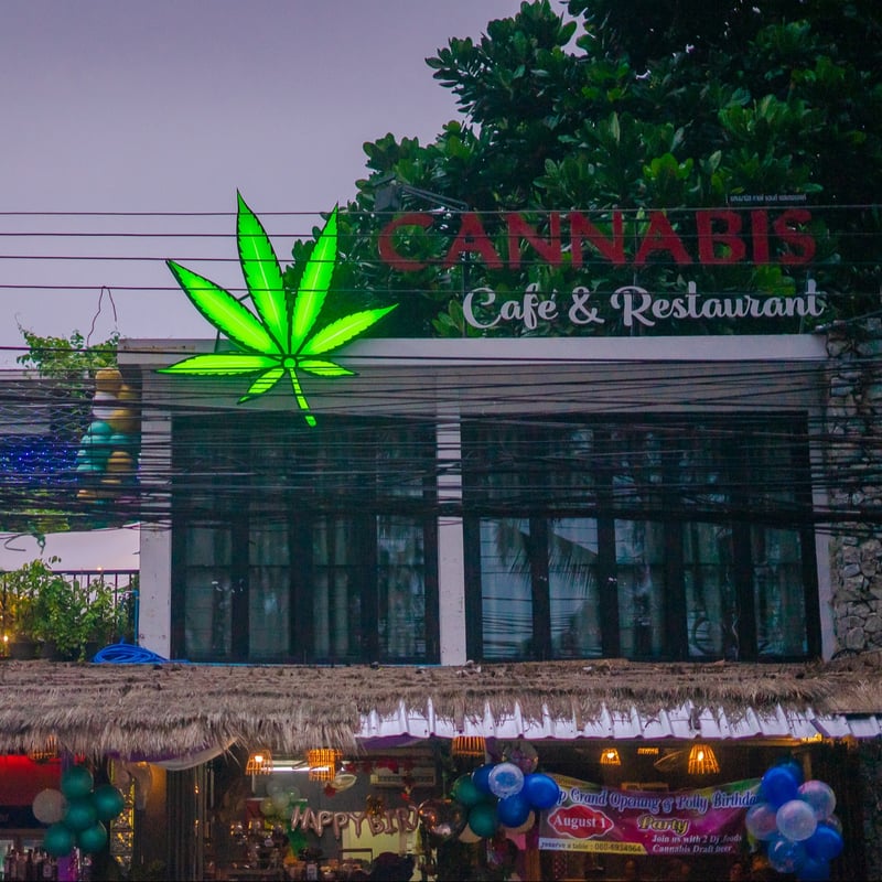 Cannabis cafe'& restaurant Rawai Phuket ร้านอาหารกัญชา in Phuket