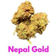 Népal Or