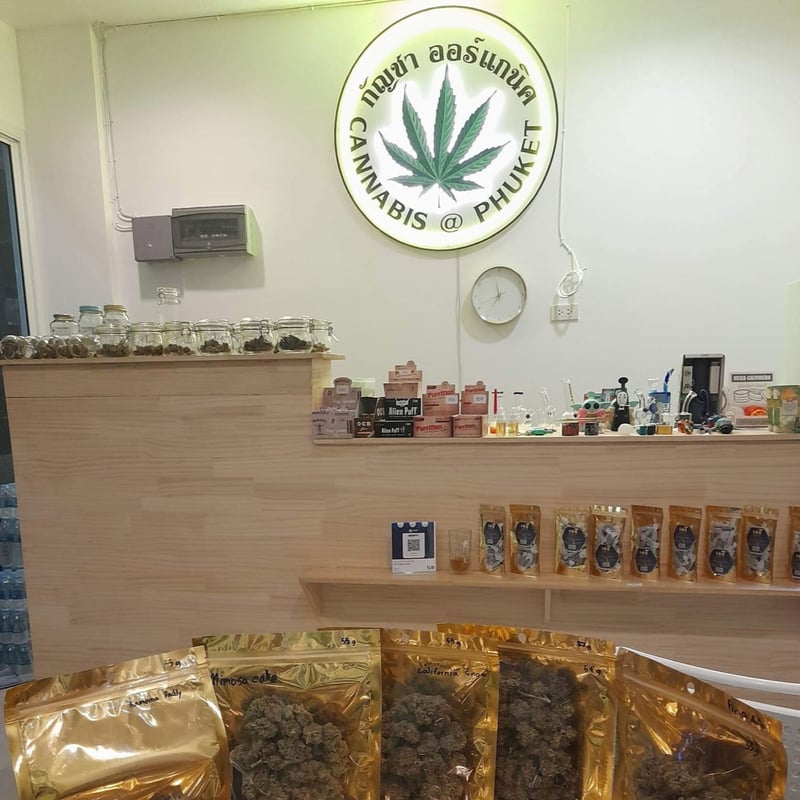 Cannabis Phuket store and delivery ร้านกัญชาภูเก็ต in Phuket, Thailand