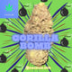 Gorilla -Bombe