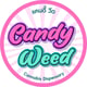 Candy Weed จำหน่ายกัญชา เชียงใหม่