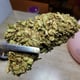 Gojoe​ Cannabis&Boisson