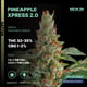 Pineapple Xpress 2.0