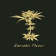 แคนนาบิส ฟลาวเวอร์ (Cannabis Flower)