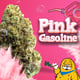 Pink Gasoline