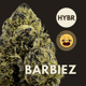 Barbiez