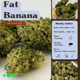 Fat Banana