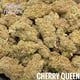Cherry Queen – Sativa – THC – 22% (Per Gram)