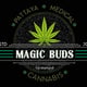Magic Buds Pattaya