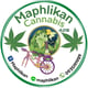 Cannabis Maphlikan