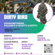 Dirty bird (exotic genetics)