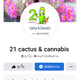 21cactus& cannabis