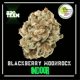 Blackberry Moonrock (Innenräume)